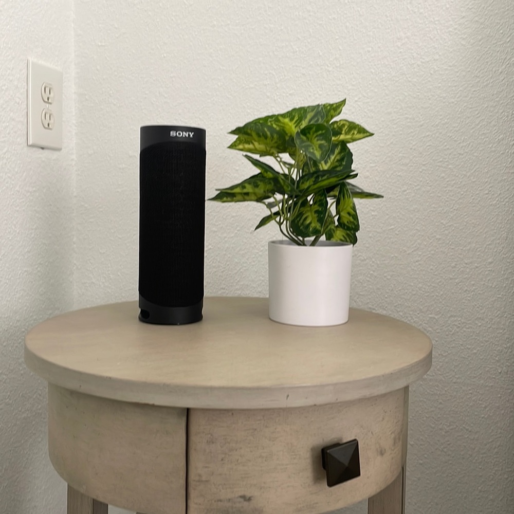 Sony speaker